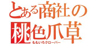 とある商社の桃色爪草（ももいろクローバー）