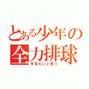 とある少年の全力排球（を見たいと思う）