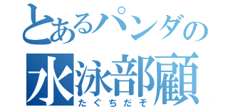 とあるパンダの水泳部顧問（たぐちだぞ）