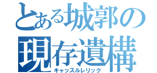 とある城郭の現存遺構（キャッスルレリック）