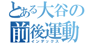 とある大谷の前後運動（インデックス）