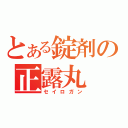 とある錠剤の正露丸（セイロガン）