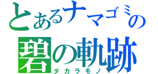 とあるナマゴミの碧の軌跡（タカラモノ）