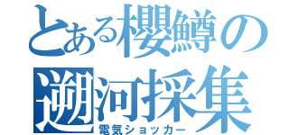 とある櫻鱒の遡河採集（電気ショッカー）