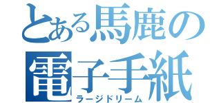 とある馬鹿の電子手紙（ラージドリーム）