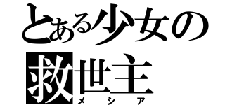 とある少女の救世主（メシア）