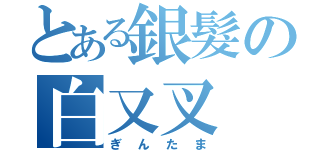 とある銀髮の白又叉（ぎんたま）