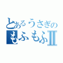 とあるうさぎのもふもふ記録Ⅱ（）