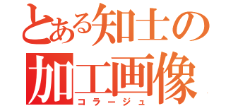 とある知士の加工画像（コラージュ）