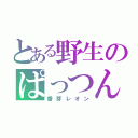 とある野生のぱっつん美人（香芽レオン）