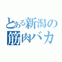 とある新潟の筋肉バカ（）