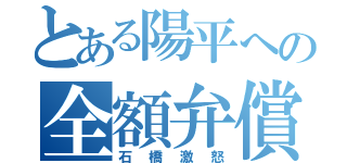 とある陽平への全額弁償（石橋激怒）