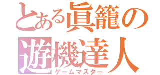 とある眞籠の遊機達人（ゲームマスター）