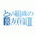 とある組織の裏方首領Ⅱ（ビッグボス）