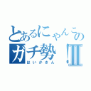 とあるにゃんこのガチ勢！Ⅱ（はいかきん）