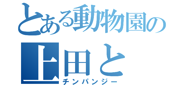とある動物園の上田と（チンパンジー）