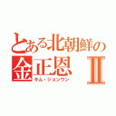 とある北朝鮮の金正恩Ⅱ（キム・ジョンウン）