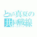 とある真夏の共同戦線（チームワーク）