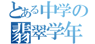 とある中学の翡翠学年（）