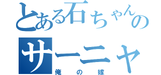 とある石ちゃんのサーニャ（俺の嫁）