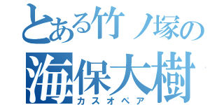 とある竹ノ塚の海保大樹（カスオペア）