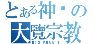 とある神圣の大覽宗教（ＢＩＧ ＰＥＮＮＩＳ）