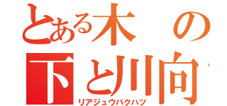 とある木の下と川向（リアジュウバクハツ）