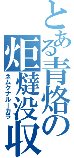 とある青烙の炬燵没収（ネムクナルーカラ）