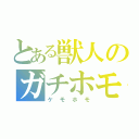 とある獣人のガチホモ行為（ケモホモ）