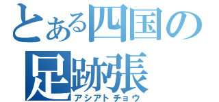 とある四国の足跡張（アシアトチョウ）