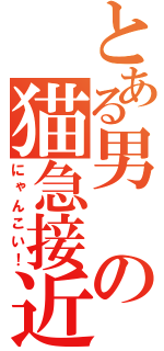 とある男の猫急接近（にゃんこい！）