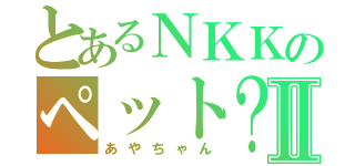 とあるＮＫＫのペット？Ⅱ（あやちゃん）