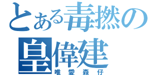 とある毒撚の皇偉建（唯愛森仔）