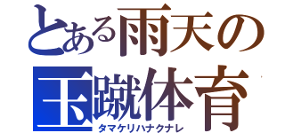 とある雨天の玉蹴体育（タマケリハナクナレ）