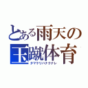 とある雨天の玉蹴体育（タマケリハナクナレ）