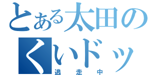 とある太田のくいドック（逃走中）