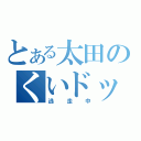 とある太田のくいドック（逃走中）