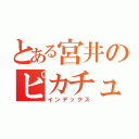 とある宮井のピカチュウさん（インデックス）