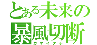 とある未来の暴風切断（カマイタチ）