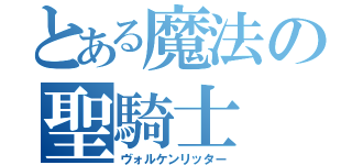 とある魔法の聖騎士（ヴォルケンリッター）