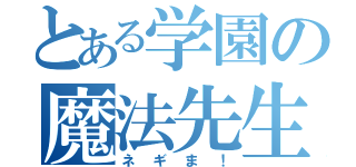 とある学園の魔法先生（ネギま！）