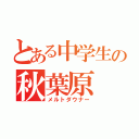 とある中学生の秋葉原（メルトダウナー）