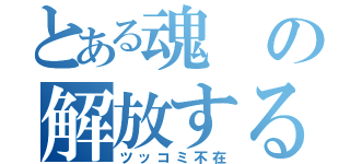 とある魂の解放する会（ツッコミ不在）