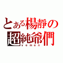 とある楊靜の超純爺們（ｙｅｍｅｎ）