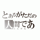 とあるがただの人間である（にんげん）