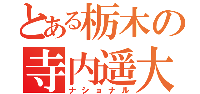 とある栃木の寺内遥大（ナショナル）