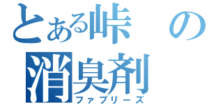 とある峠の消臭剤（ファブリーズ）