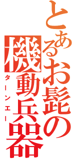 とあるお髭の機動兵器（ターンエー）