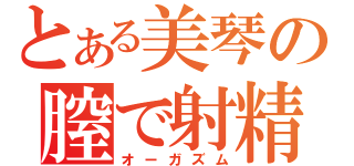 とある美琴の膣で射精（オーガズム）