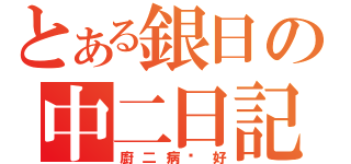 とある銀日の中二日記（廚二病你好）